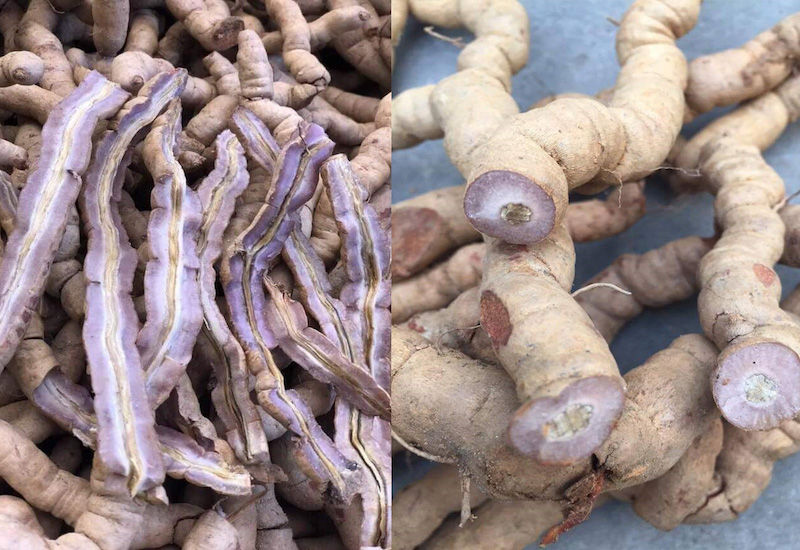 cach-ngam-ruou-ba-kich