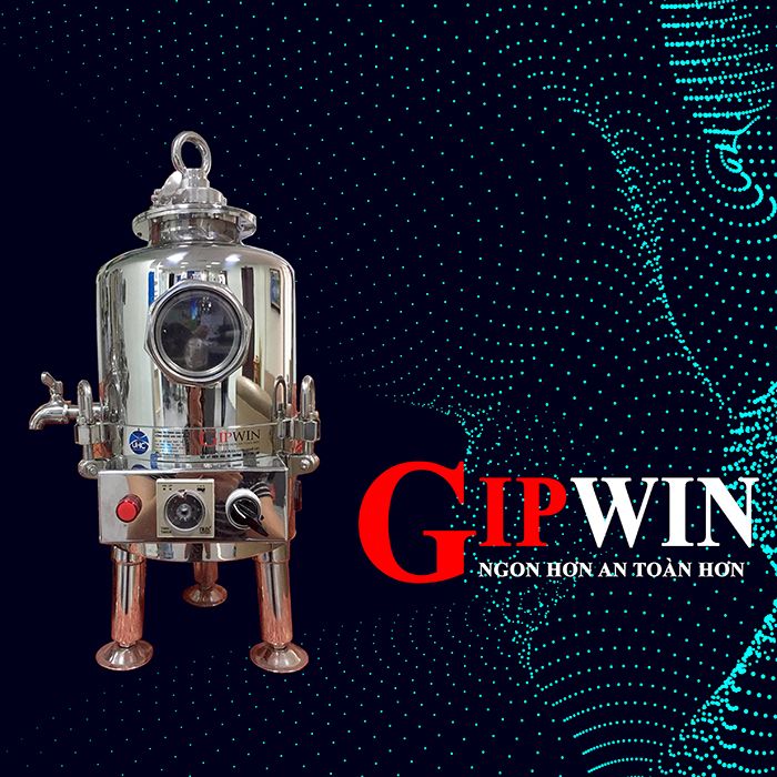 máy khử độc tố và lão hóa rượu gipwin