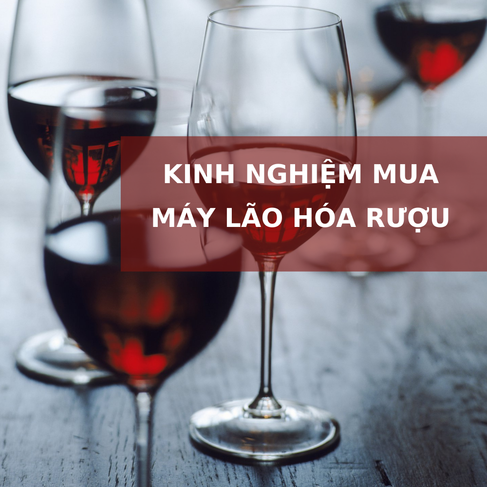 Kinh nghiệm mua máy lão hóa rượu nhất định phải biết 1 Kinh nghiệm mua máy lão hóa rượu nhất định phải biết