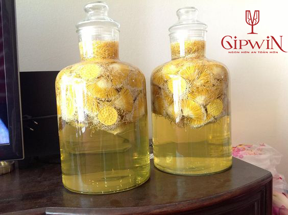 cach-ngam-ruou-hat-sen-thom-ngon-5