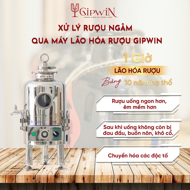 ngâm rượu thuốc bằng máy lão hóa rượu