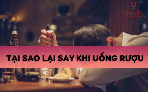 Tại sao lại say khi uống rượu 1 Tại sao lại say khi uống rượu