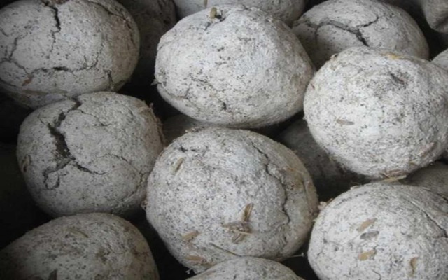 Rượu men lá là gì? Cách nấu rượu ngô men lá chuẩn người Nùng