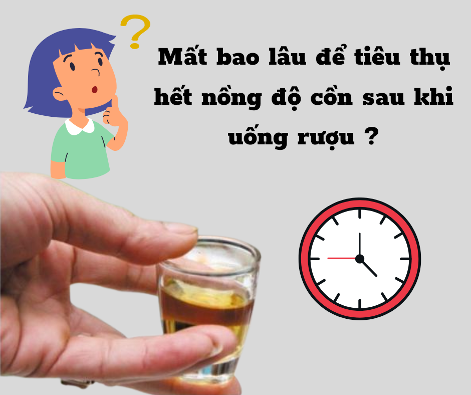 Uống rượu xong thì bao lâu cơ thể mới hết nồng độ cồn ?
