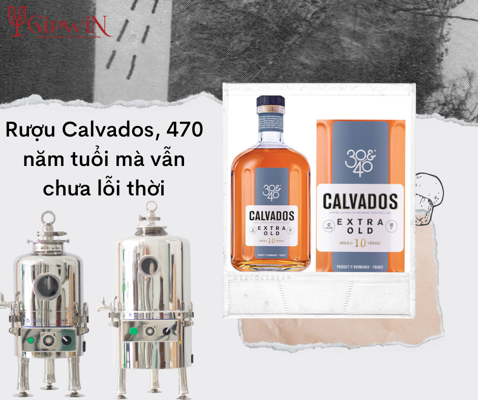 RƯỢU CALVADOS, 470 NĂM TUỔI MÀ VẪN CHƯA LỖI THỜI