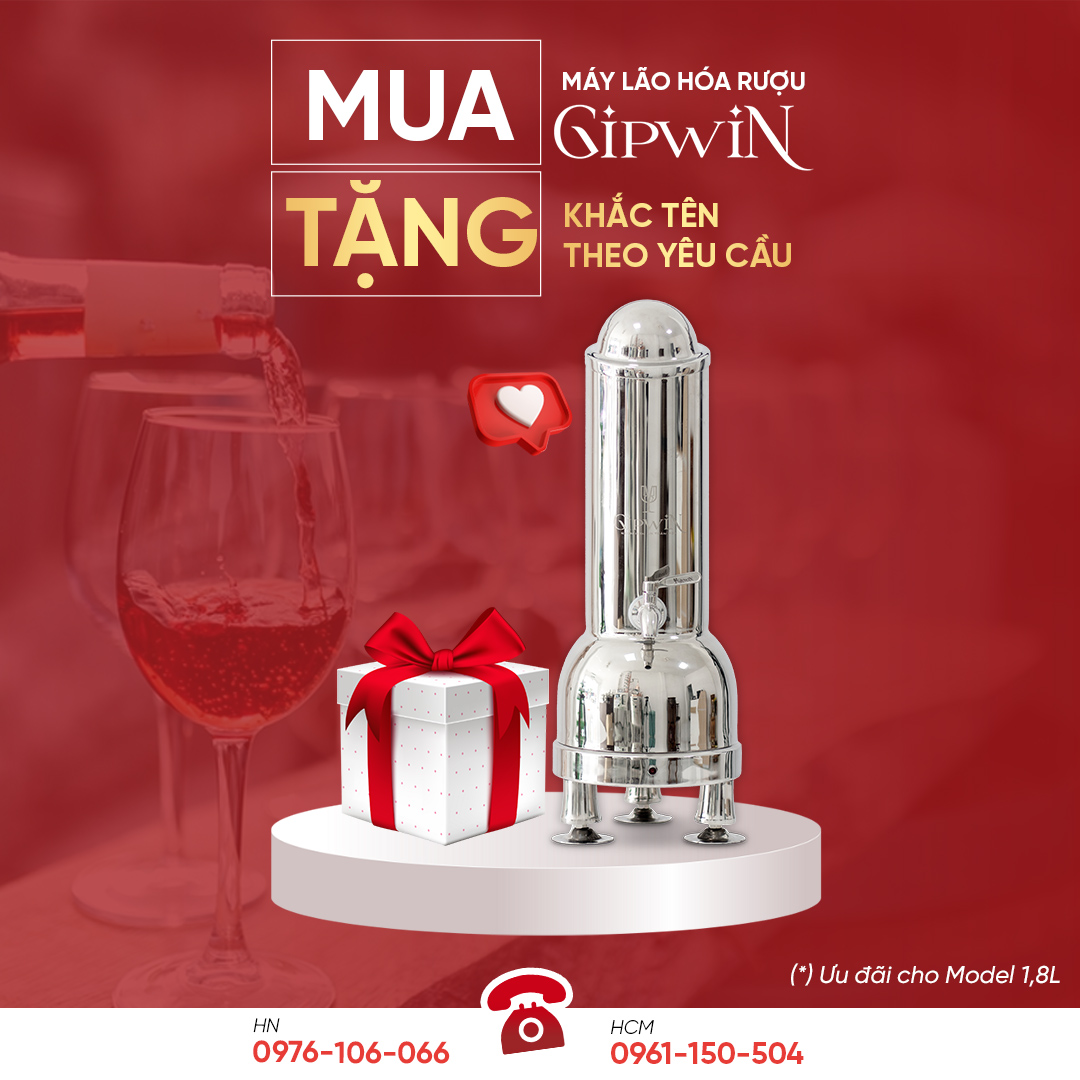 Mừng sinh nhật 10 năm, máy lão hóa rượu Gipwin 3 mung-sinh-nhat-10-nam-2